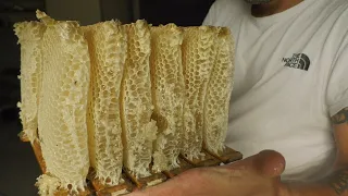 Открыл Японские улья и не поверил. Майский мед. Самый вкусный и полезный мед в мире