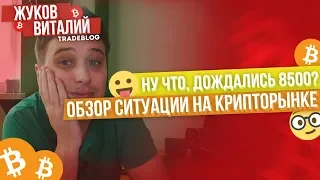 💥 Ну что? Купили по 8500? 💥 Стоит ли покупать ЛАЙТКОИН? Прогноз Bitcoin , Ripple