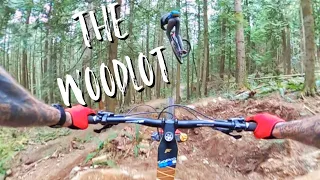 The Woodlot