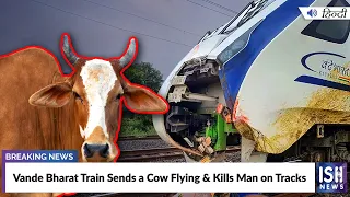 Vande Bharat Train Sends a Cow Flying & Kills Man on Tracks | ISH News