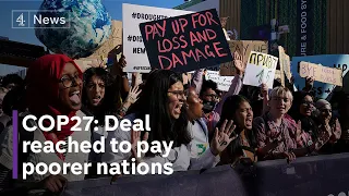 COP27: Historic ‘loss and damage’ deal reached at climate talks