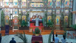 Ukrainian Catholic Divine Liturgy 17/4/22