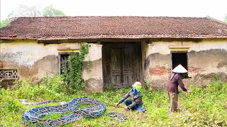 I was scared when I met a giant python in an abandoned house. I was so scared that I gave up