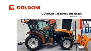 GOLDONI presents the news: Q80 (ENG)