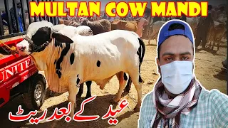 Multan Cow Mandi Eid Kay Bad Janwaro Kay Rate Kaam Ya zayda | SS Tv |