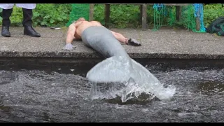 The merman mermaid tail