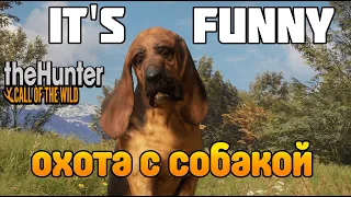 Купил СОБАКУ, иду на ОХОТУ! theHunter Call of the Wild Обзор ОБНОВЛЕНИЯ