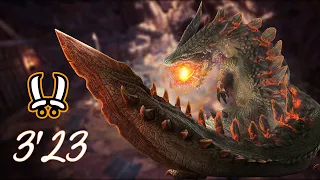 Abiogladius Solo 3'23"26 / Dual Blades / MHW:Resurgence