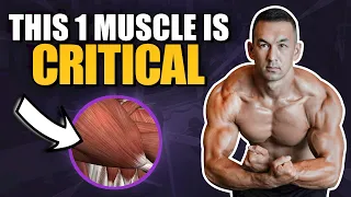 The BIGGEST Upper Body Muscle (It’s Not What You Think!)