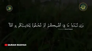 Al Quran Ruqyah For Cleansing Your Body From All Kind Of Diseases And To Remove Stress And Anxiety