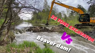 Excavator Deleted  Massive Beaver Dam!