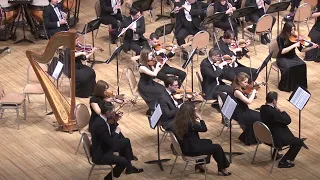 Шуберт симфония 8 Неоконченная ч.2 / Schubert Symphony No.8  mov.2 Unfinished