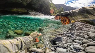 FLY FISHING in SUMMER for New Zealand BROWN Trout