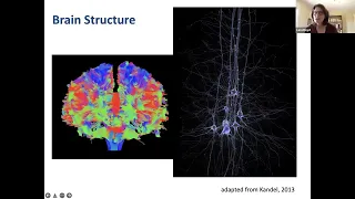 Annual General Meeting (2021): Neuroplasticity and Parkinson's Disease with Dr. Lara Boyd