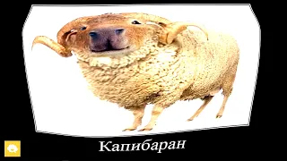 Если КАПИБАРЫ Захватят Этот Мир: