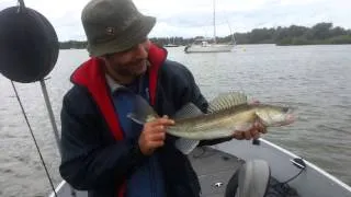 Vissen met de pen op snoekbaars 82