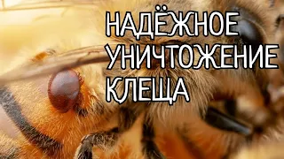 УНИКАЛЬНЫЙ СПОСОБ БОРЬБЫ С КЛЕЩЕМ