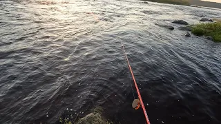 Ловлю сига на реке