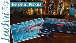 Painting the Dolphin cover for the new Derwent Inktense Pencil Tins - Lachri