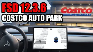 Tesla FSD 12.3.6 - The Ultimate Auto Park Test!