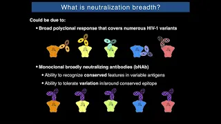 Getting to Grips with Extreme Viral Diversity: Impact of Variation on Immune Recognition of HIV