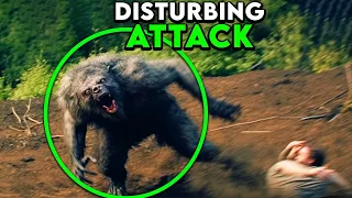 Must-See Trail Cam Footage Shocking The Internet