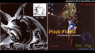 Pink Floyd - Pigs (Three Diffrent Ones) 1977 live @Oakland CA, USA