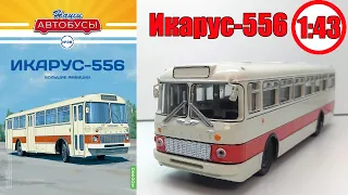 Модель автобуса Икарус-556 1:43 / Наши автобусы / №38 Modimio