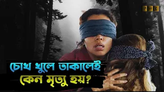 Birdbox Movie Explained In Bangla | Survival movie Explanation | Obonitol Explained