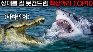 상대를 잘못 건드린 백상아리의 끔찍한 결말