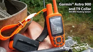 Garmin Astro 900 and T9 Collar | 900 MHz Dog Tracking GPS