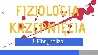 Fizjologia krzepnięcia 3: Fibrynoliza