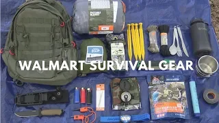 Overnight $250 Walmart Survival Challenge