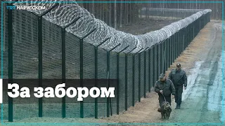 Польша строит 5,5 метровую стену на границе с Беларусью