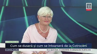 Cum se duseră și cum se întoarseră de la Cotroceni - cu Monica Tatoiu