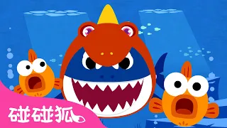 [臺灣配音] 戴恐龍帽的鯊魚一家 🦈 經典鯊魚歌 鯊魚家族 嘟嘟嘟 | 童謠 兒歌 Kids Songs | 鯊魚寶寶 Baby Shark 碰碰狐 Pinkfong!