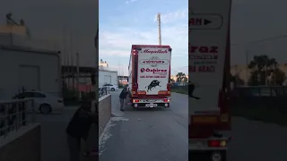 Livestcok trailer animal carrier canlı hayvan dorsesi Güneysan treyler Mersin