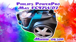Обзор пылесоса Philips PowerPro Max FC9751/07