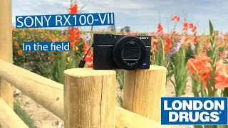 In the Field with the New Sony RX100-VII Camera