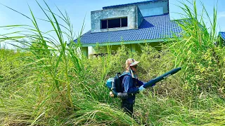 NOBODY I random see HOUSE has been abandoned 20YEARS mowing OVERGROWN lawn transformation SATISFIED