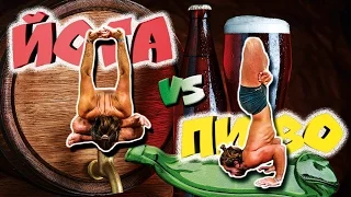 Пивная йога (Beer yoga) 🍺 - быстрый путь к просветлению или тотальная деградация? 🌟 SLAVYOGA