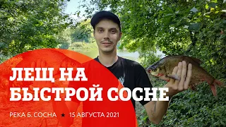 Ловля леща на Быстрой Сосне