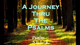 A Journey Through The Psalms (Psalm 37:1-8) Fret Not And Trust The Lord