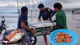 200 kg DE PEIXES CAPTURADOS EM RAPOSA. PESCA DE CAMARÃO E SIRI.