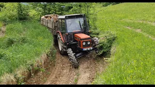 Zetor 6245 - Ponovo u šumi (Vožnja drva)