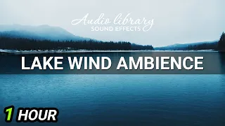 Lake Wind Ambience • No Copyright Sounds Effects (1 Hour Version)