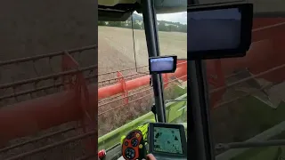 Claas Lexion 570+ OSR harvest