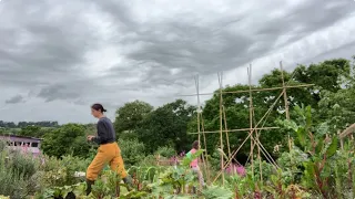 Crazy seed sowing sesh ~ down at t’ allotment