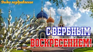 С ВЕРБНЫМ ВОСКРЕСЕНЬЕМ  Видео поздравление  Видео открытка