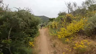 Mountain Biking Sin Nombre DH (singletrack) & Sycamore Canyon